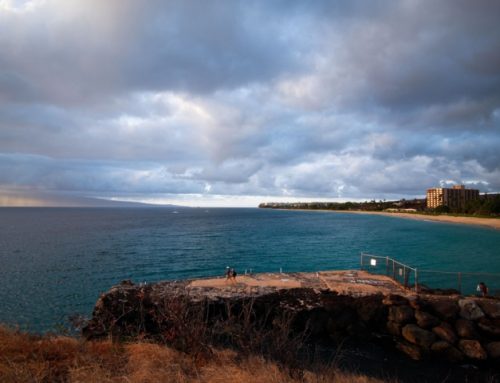 Inspection Sample 16