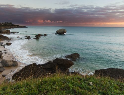 Inspection Sample 13