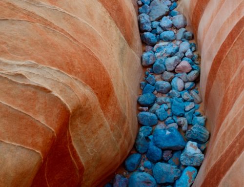 Inspection Sample 11