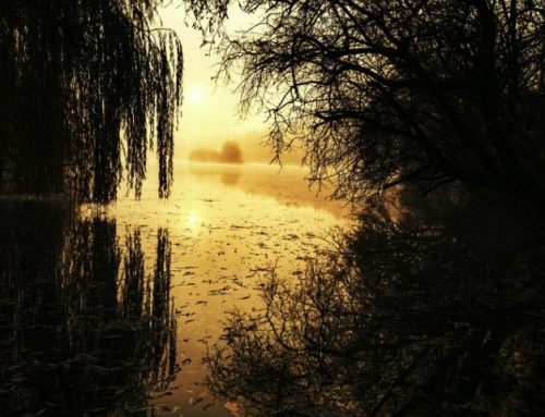 Inspection Sample 12